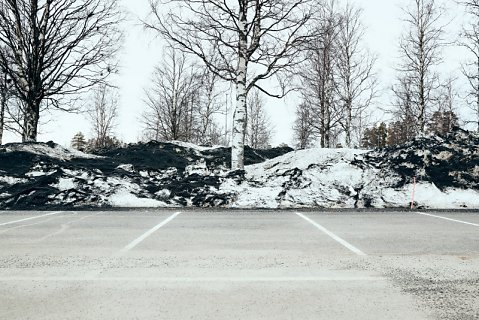 Marcus Ginns Photography