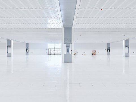 Marcus Ginns Photography