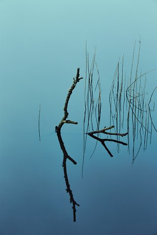 Marcus Ginns Photography