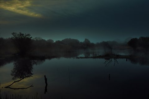 Marcus Ginns Photography