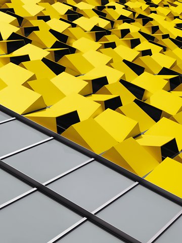 Marcus Ginns Photography