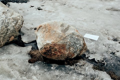 Marcus Ginns Photography