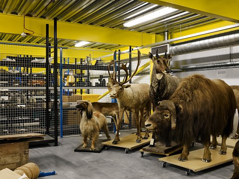 Marcus Ginns Photography