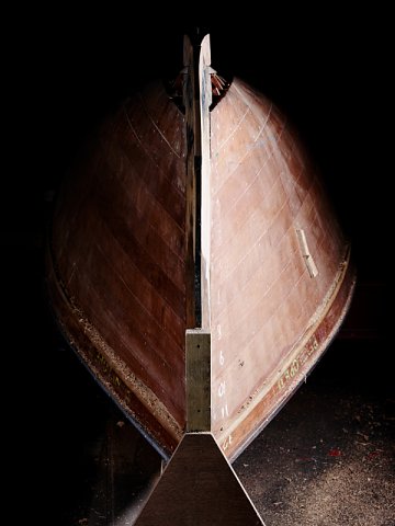 Marcus Ginns Photography