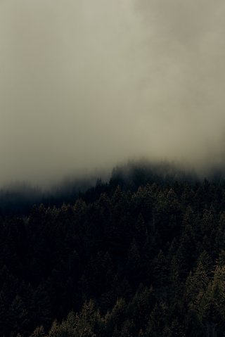 Marcus Ginns Photography