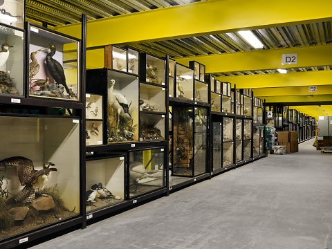 Marcus Ginns Photography