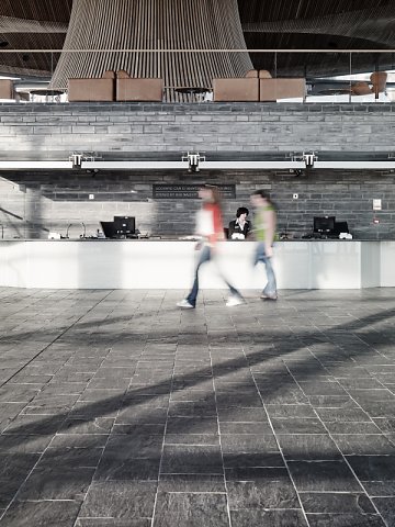 Marcus Ginns Photography