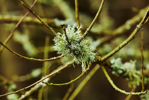 Marcus Ginns Photography