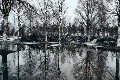 Marcus Ginns Photography