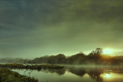 Marcus Ginns Photography