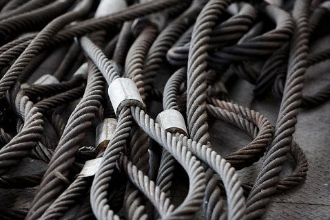 Marcus Ginns Photography