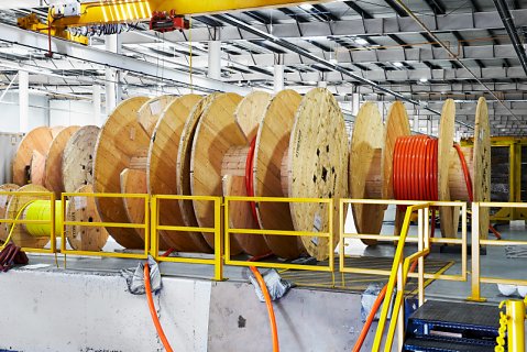 Marcus Ginns Photography