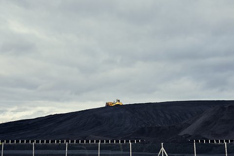 Marcus Ginns Photography