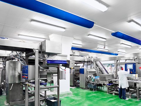 Marcus Ginns Photography