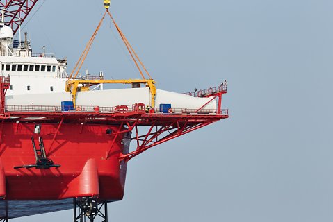 Marcus Ginns Photography