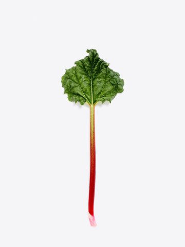 Marcus Ginns Photography