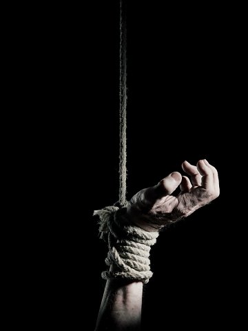 Marcus Ginns Photography