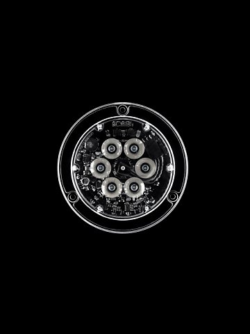 Marcus Ginns Photography