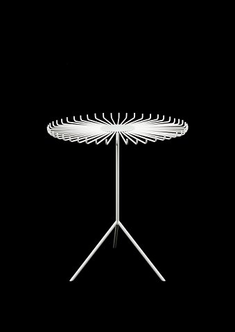 Marcus Ginns Photography