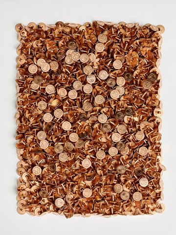 Marcus Ginns Photography