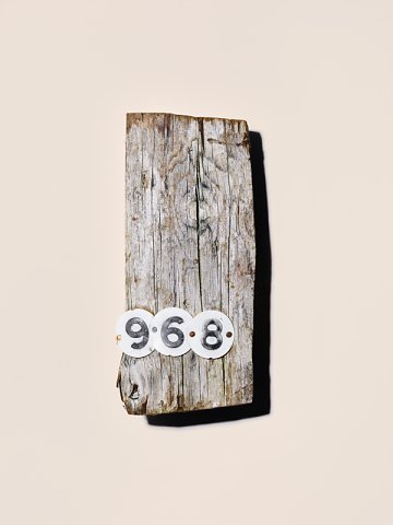 Marcus Ginns Photography