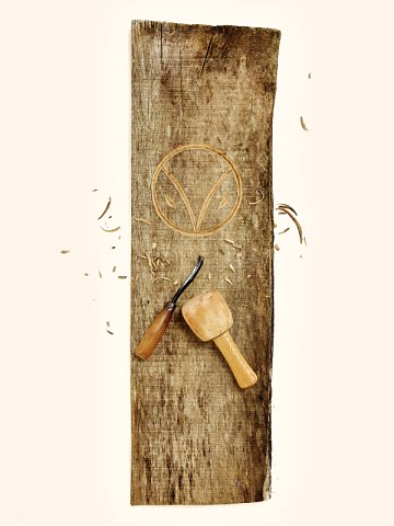 Marcus Ginns Photography