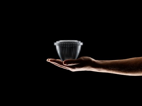 Marcus Ginns Photography