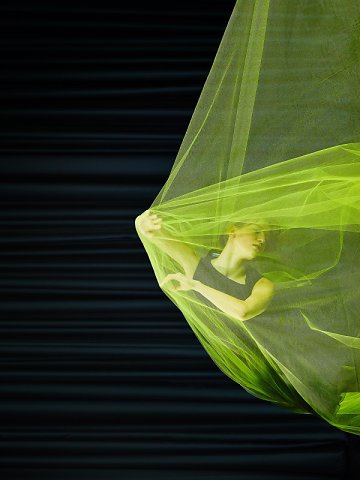 Marcus Ginns Photography